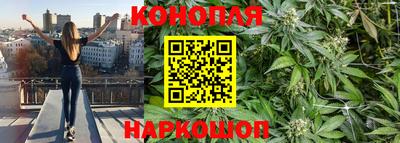кокс Моздок