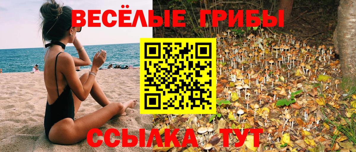 Ульяновск  Галлюциногенные грибы Cubensis  Галлюциногенные грибы Psilocybe  Вход с VPN 